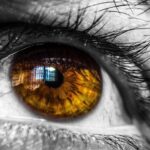 Azure Custom Vision - Machine Learning Image Recognition